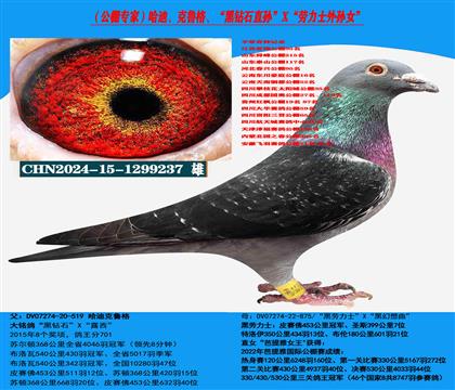 ������ר�ң����ϡ���³�񳬼������ָ�