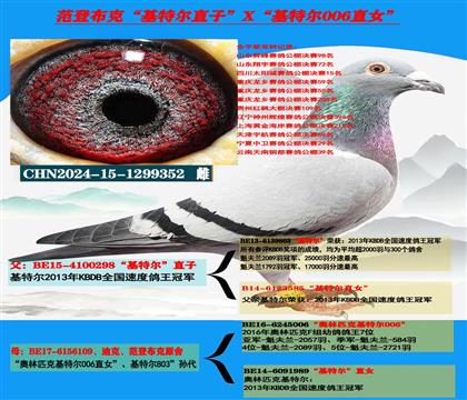 ���������� �����ǲ��ˡ����ض���ֱ��X�����ض�006��ֱŮ