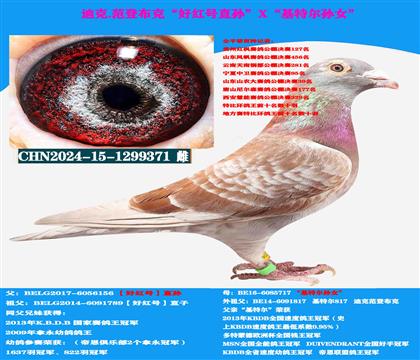 ���ص��Ƽ������ǲ��ˡ��ú�š������ָ�