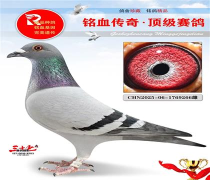 ������ֱ�ӡ�������ƽ��