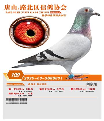 �ر��Ĺظ���109��