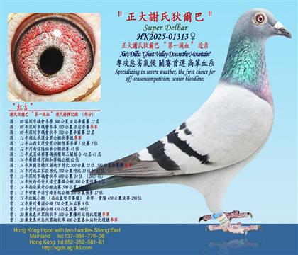 �����x�ϵҠ��͡���һ�CѪ������