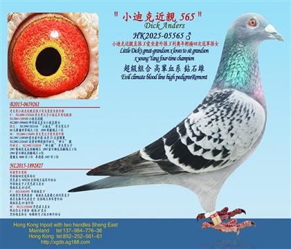 С�Ͽ˽��Hֱ�OX��������OX���W���p���Ĵι�܊�OŮ