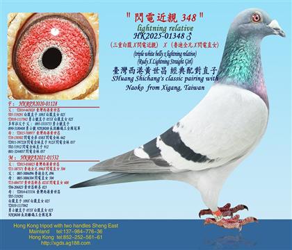 �����ذ׸�X�W늽��H��X������ȫ��X�W�ֱŮ��