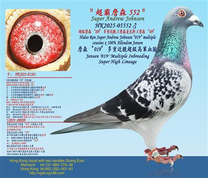 ����ղɭ��019�����ؽ��HX ��������ղɭXղɭ���˹X ղ