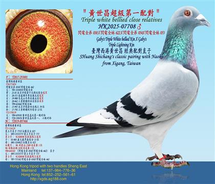 ���S����������һ�䌦���W�ȫ��038X�W�ȫ��662