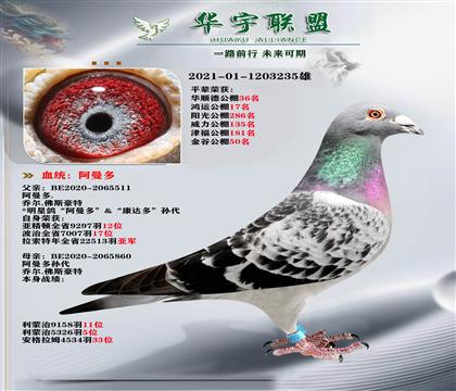 ��������� ������ֱ��X������ֱ��Ů ������Ѫ