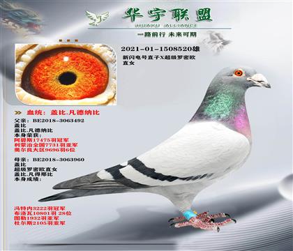 �Ǳ� �������ֱ��X��������ŷֱŮ