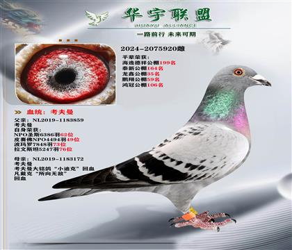 ������ ��¬�ٰ���ֱ��XС�Ͽ�����Ů