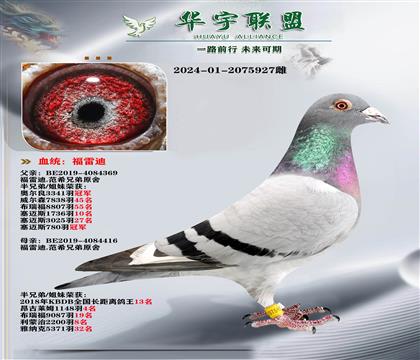 ���׵� �ٰ�������X�ٰ���ֱ��Ů