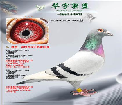 ���ǲ��� ����ƥ�˻��ض�006ֱ��X����ƥ�˻��ض�00ֱŮ6