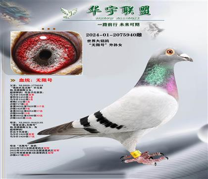 �����˹ ���޺�����Ů ������ķ