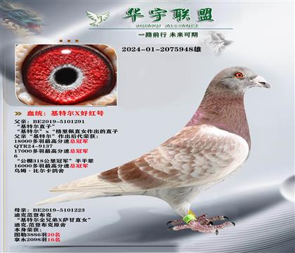 ���ǲ��� ���ض�ֱ��X�ú������Ů