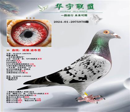 �����ϲ���  ������ֱ��X쫷�����Ů ������ķ