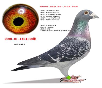 ����.�����ˡ���ũ�ڡ�ֱ��X�������ǡ�ȫƽ��