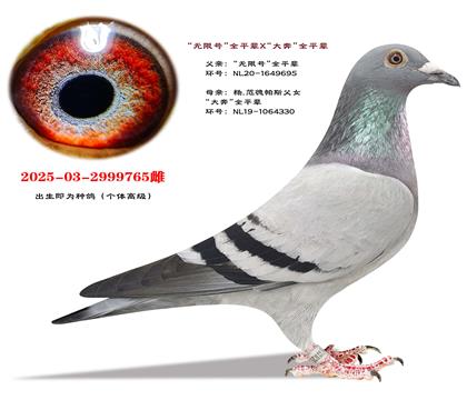 �Ƽ������޺�ȫƽ��X��ȫƽ��