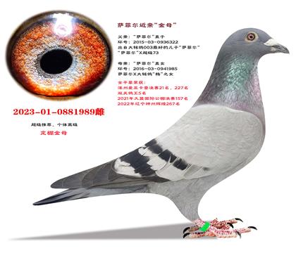 �Ƽ������ƶ�ֱ��X���ƶ�ֱŮ