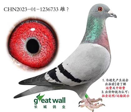 ���ǣ�����С�Ӷ��ؽ��׻�Ѫ