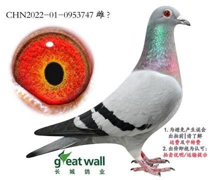 ���ǣ��Ĺظ�������X��ȱ��