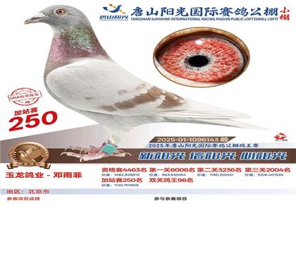 ������ҵ-����ƵĻ�����ƽ������Ů
