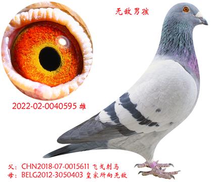 �޵��к���22�����ף�