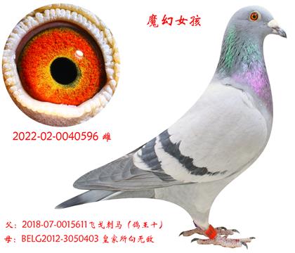 ħ��Ů����ÿ��ֻ��һ������