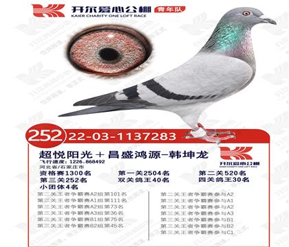 ��������Ӿ���252��