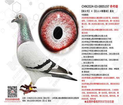 �ӻ�š������ˡ�����˿��ֱŮ