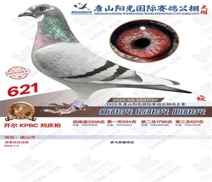 25������ɽ����������621�����ƣ�