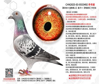����484��������ˡ�ֱ�ӡ�����������Ů