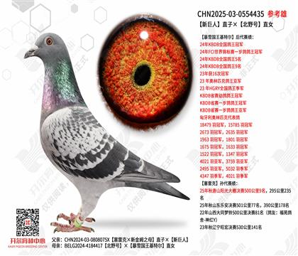 �¾���ֱ�ӡ���Ұ��ֱŮ