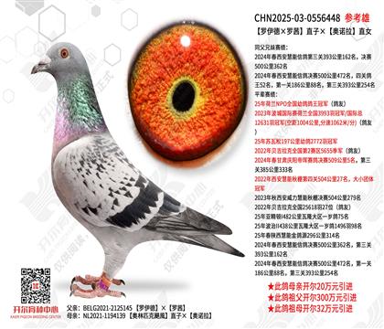 �������¡����硱ֱ�ӡ���ŵ��ֱŮ