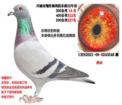 22�괺���ɼ��루�����������壬�ܺã�
