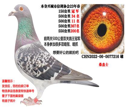 23�괺���عھ����Ĺسɼ��룬ǰ����˫�عھ���ɣ��ʿ��