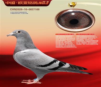 ɣ��ʿ�ǹ���486X����261��ĸ