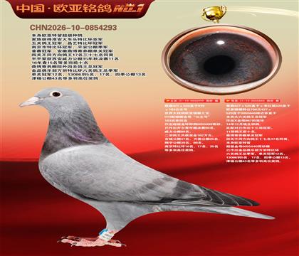 ղɭ919ֱ��999Xղɭ766ֱŮ840