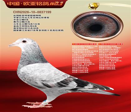 ��˹���ڰ�ѩ����683X209