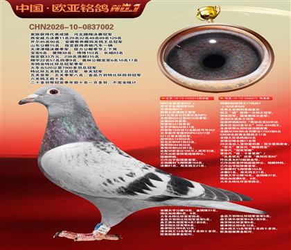 NPOȫ���Ǿ�872����ɺ�ȫ���ھ�515X����KBDB����