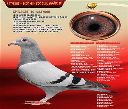 �Ͽ˷����������޵л�Ѫ531X�ϻ�������703
