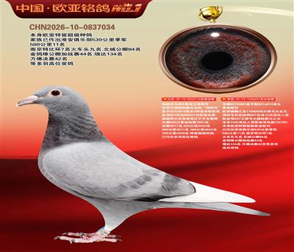 ����Xɣ��ʿ116X����926ֱŮ457