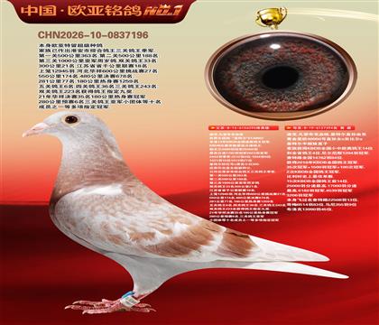 �Ͽ�.���ǲ���Ѫͳ���ض�295X���ض�ֱ��394