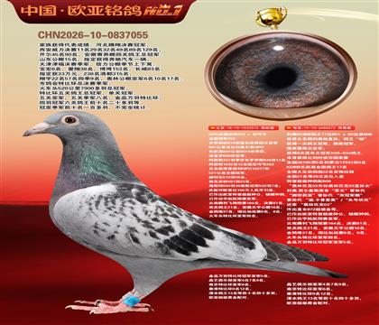 NPOȫ���Ǿ�872����ɺ�ȫ���ھ�515X����KBDB����
