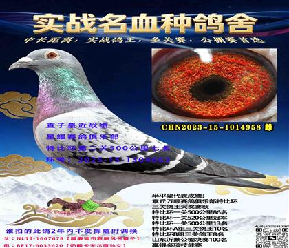 ����֮ĸ