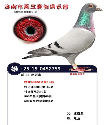 特比环500公里14名