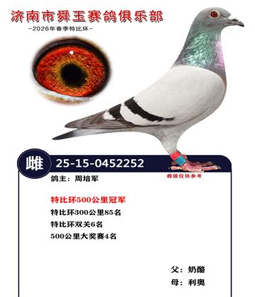 特比环500公里冠军