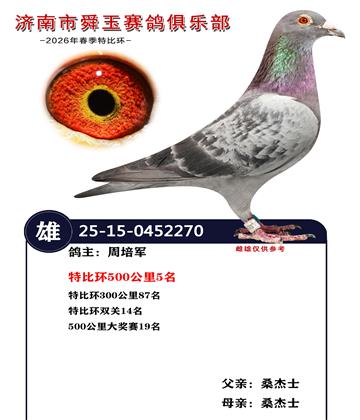 特比环500公里5名