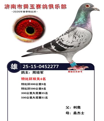 特比环双关4名