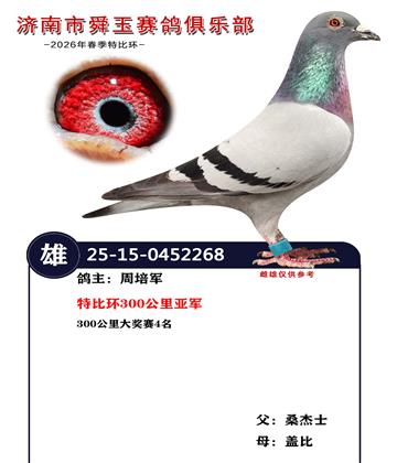特比环300公里亚军