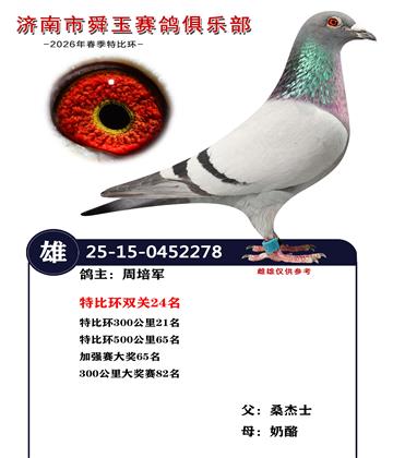 特比环双关24名