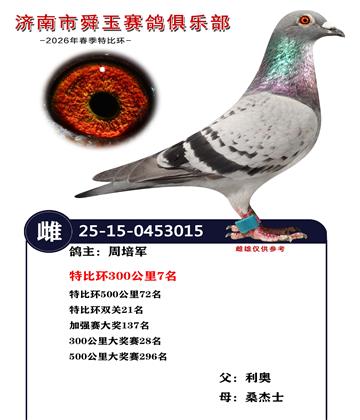 特比环300公里7名 特比环双关21名